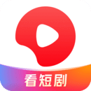 卑微的爱小说在线阅读